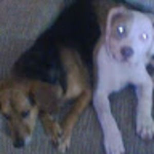 Meet your Posher, Katelynn